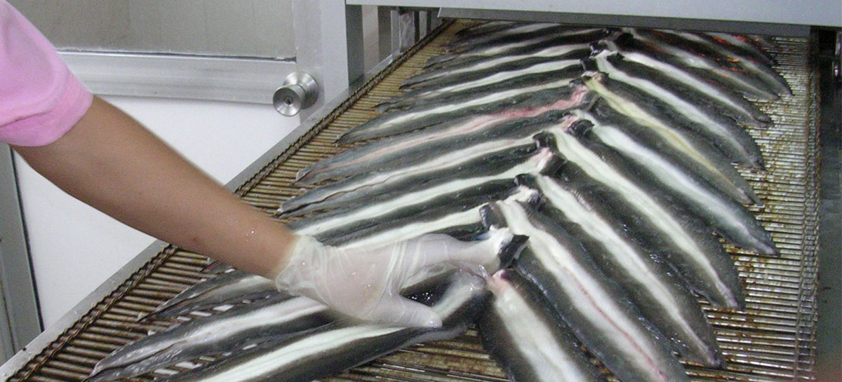 roasted Eel Arranging
