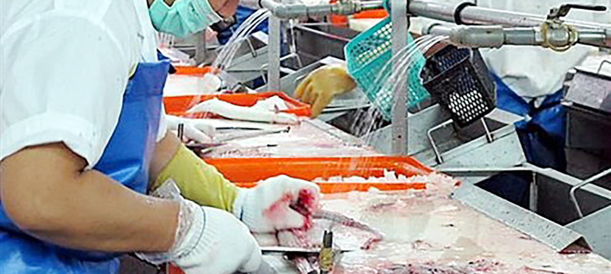 roasted Eel Slaughtering