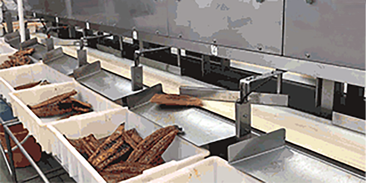 roasted Eel Auto Sorting