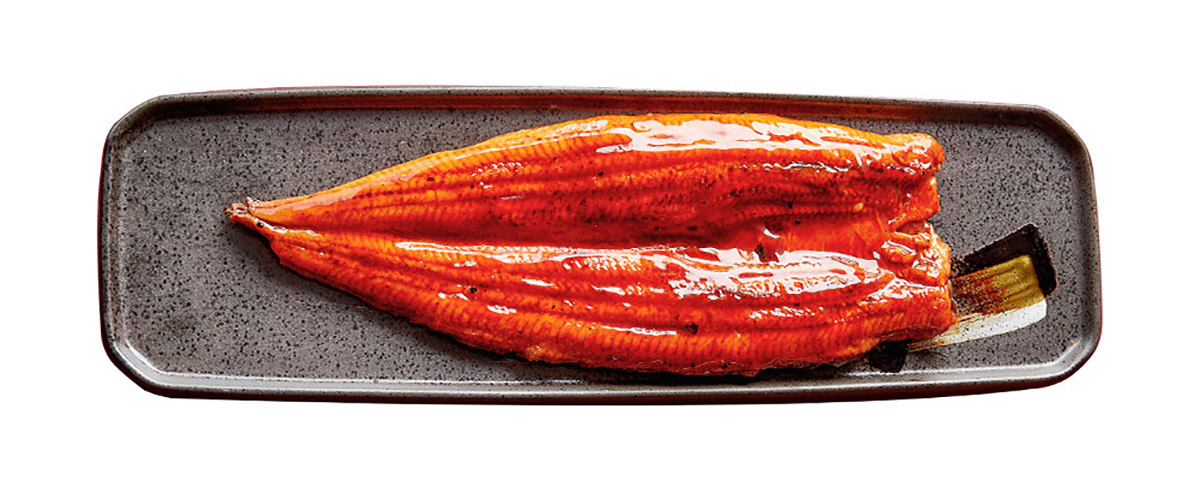 sauced roasted eel Unagi Kabayaki
